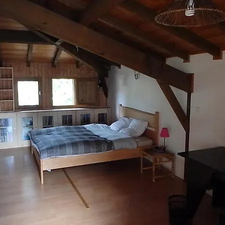 Villa Maison 120 M2, Location Saisonniere, Proche De L'ocean. Vieux-Boucau-les-Bains